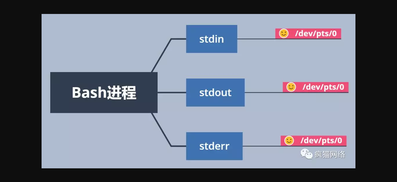 自動化反彈Shell防禦技術-波波的寂寞世界