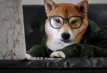 Payloads All The Things-波波的寂寞世界